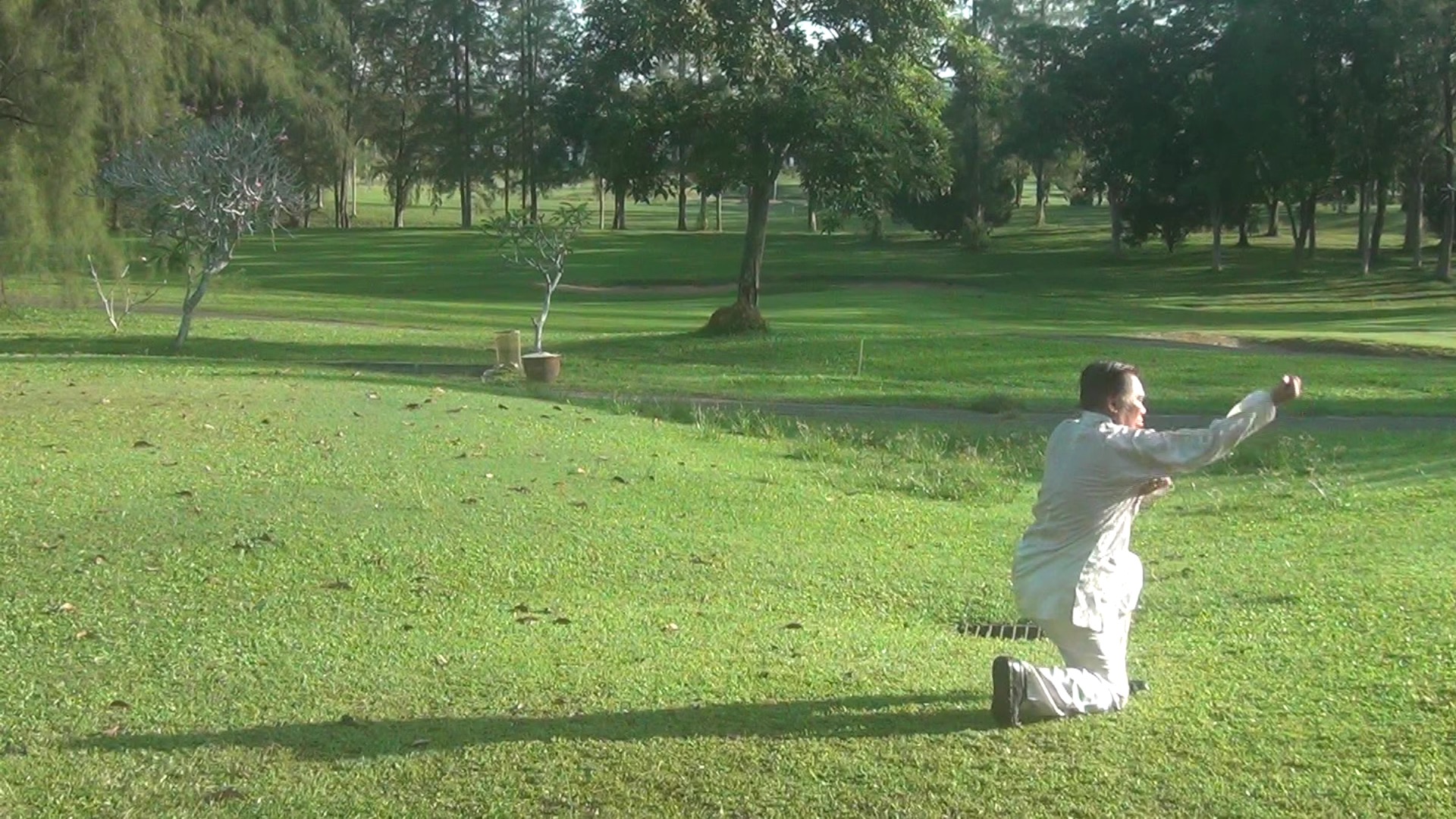 Crushing Fist of Praying Mantis Kungfu in Pictures